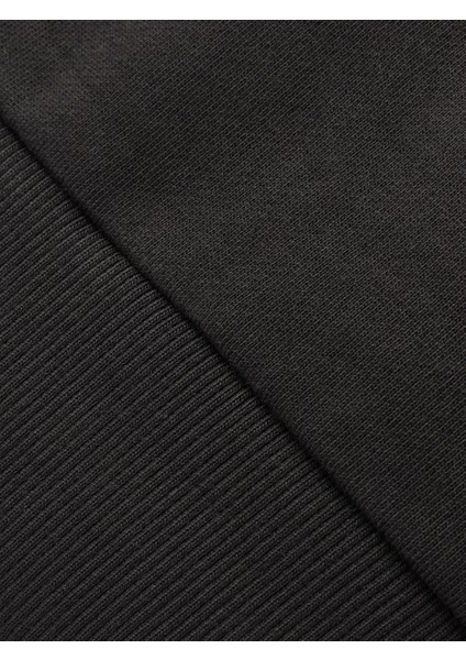 Galatasaray Premium Basic Dik Yaka Sweat E251137 fırsatları