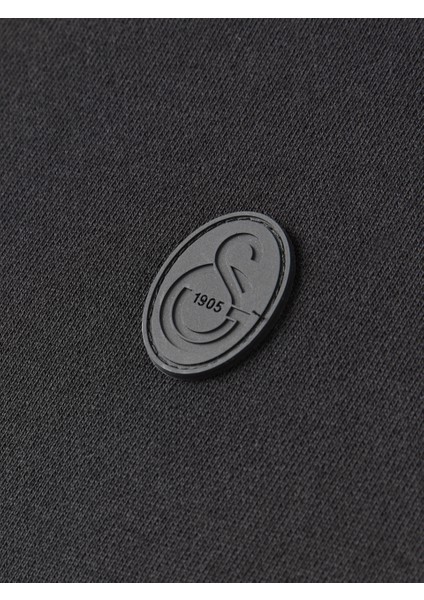 Galatasaray Premium Basic Dik Yaka Sweat E251137 indirimleri