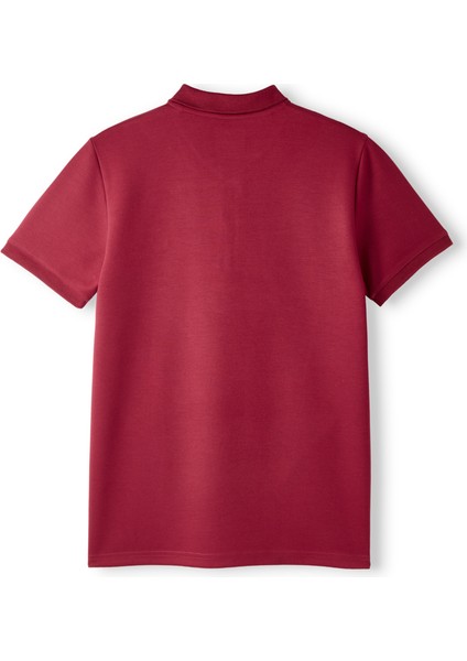 Galatasaray Premium Basic Polo T-Shirt E251133 fiyatları