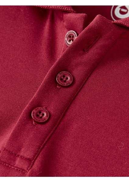 Galatasaray Premium Basic Polo T-Shirt E251133 fırsatları