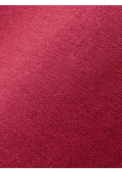 Galatasaray Premium Basic Sweat E251139 fırsatları