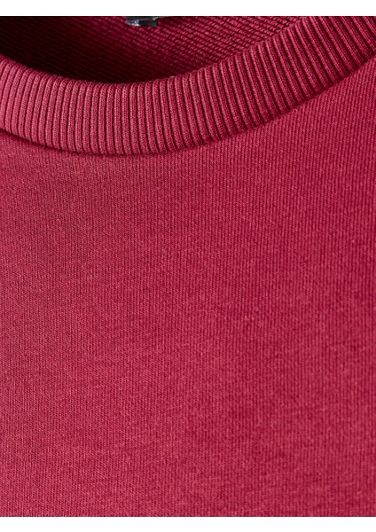 Galatasaray Premium Basic Sweat E251139 indirimleri