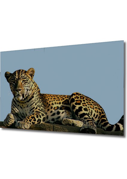 Yağlı Boya Görünümlü Leopar Ev/işyeri/ofis Kare Tablosu Sanatsal Dekoratif Ahşap Dekoratif fiyatları