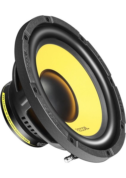 LW-10S4 25CM Subwoofer (200 Watt)