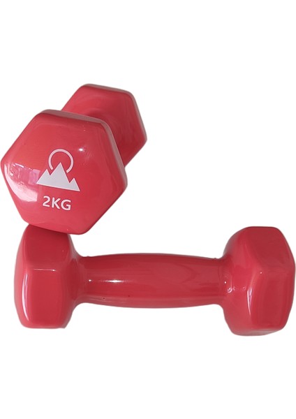 Vinyl Kaplı Dökme Demir Altıgen Çift Dambıl