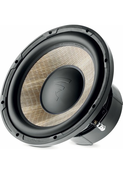 P25-FE 25CM Subwoofer (600 Watt)
