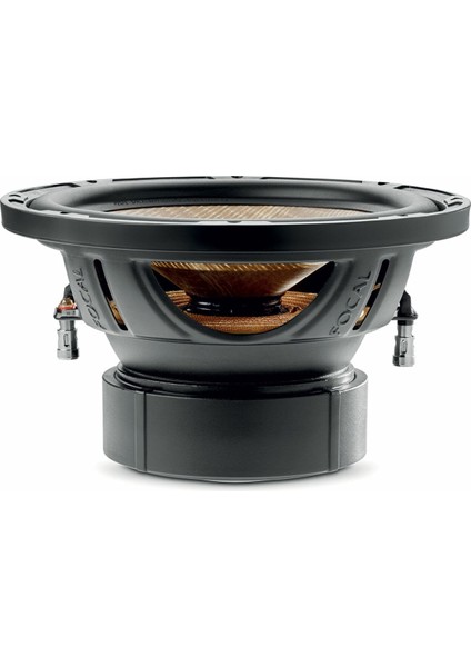 P25-FE 25CM Subwoofer (600 Watt) fiyatları