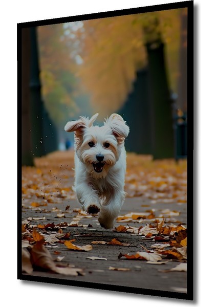 Çerçeve Görünümlü Sonbahar Neşesi Köpek Yağlı Boya Görünümlü Işyeri/ofis Dekoratif Ahşap Kare Tablo fiyatları
