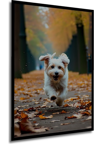 Çerçeve Görünümlü Sonbahar Neşesi Köpek Yağlı Boya Görünümlü Işyeri/ofis Dekoratif Ahşap Kare Tablo modelleri