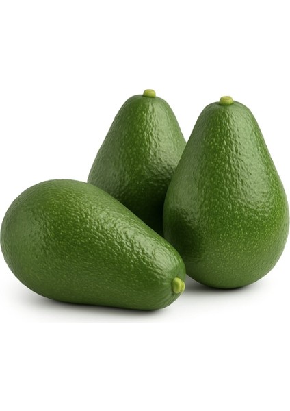 Alanya Avokado | Taze ve Besleyici Meyve | Salata ve Kahvaltılar Için