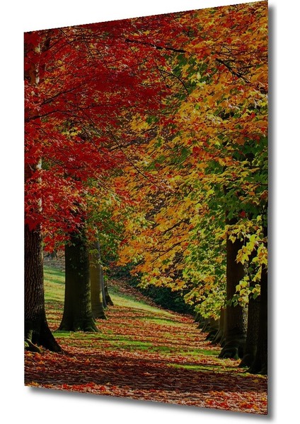 Sonbahar Renkleri Yağlı Boya Görünümlü Dekoratif Ahşap Ev/işyeri/ofis Kare Tablo fiyatları