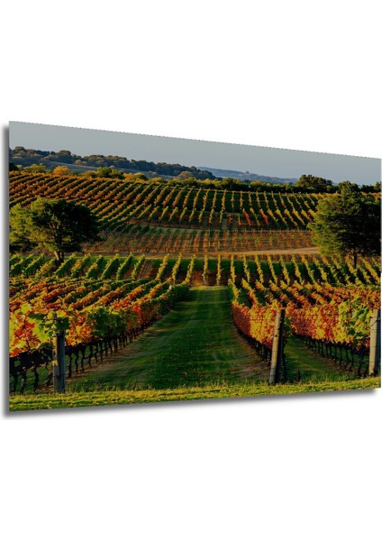 Sonbahar Renkleri ile Üzüm Bağları Yağlı Boya Görünümlü Dekoratif Ahşap Ev/işyeri/ofis Kare Tablo modelleri