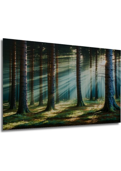 Güneş Işınları Ormanı Yağlı Boya Görünümlü Dekoratif Ahşap Ev/işyeri/ofis Kare Tablo modelleri