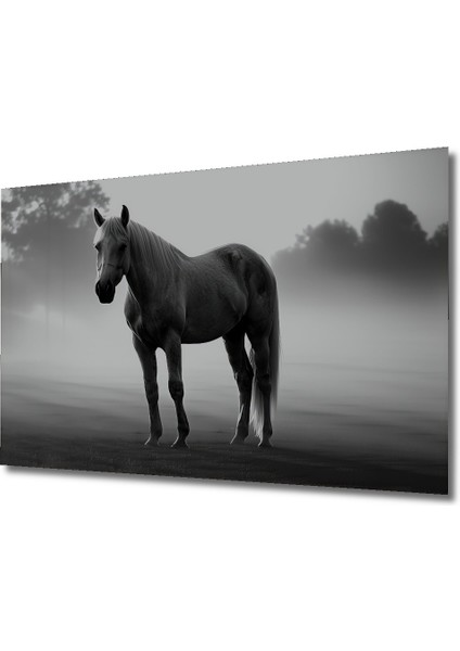 Asil Beyaz At Kara Kalem Görünümlü Dekoratif Ahşap Ev/işyeri/ofis Kare Tablo fiyatları