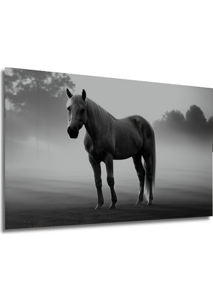 Asil Beyaz At Kara Kalem Görünümlü Dekoratif Ahşap Ev/işyeri/ofis Kare Tablo modelleri