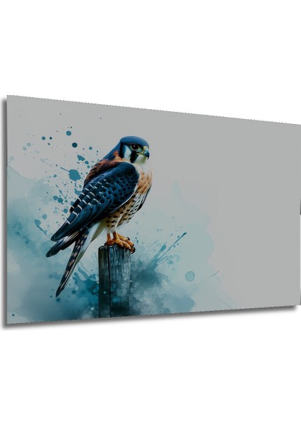 Sulu Boya Görünümlü Şahin Kuşu Dekoratif Ahşap Ev/işyeri/ofis Kare Tablo modelleri