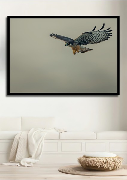 Çerçeve Görünümlü Süzülen Şahin Yağlı Boya Görünümlü Dekoratif Ahşap Ev/işyeri/ofis Kare Tablo