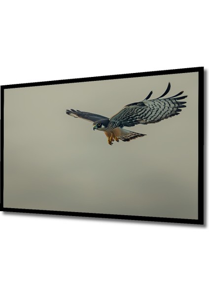 Çerçeve Görünümlü Süzülen Şahin Yağlı Boya Görünümlü Dekoratif Ahşap Ev/işyeri/ofis Kare Tablo fiyatları