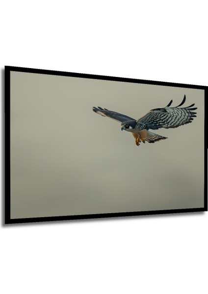 Çerçeve Görünümlü Süzülen Şahin Yağlı Boya Görünümlü Dekoratif Ahşap Ev/işyeri/ofis Kare Tablo modelleri