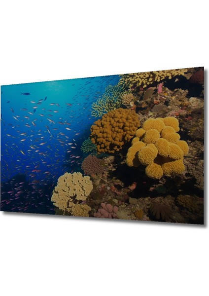 Deniz Altı Mercan Resifi Balık Sürüsü Manzarası Dekoratif Ahşap Ev/işyeri/ofis Kare Tablo fiyatları