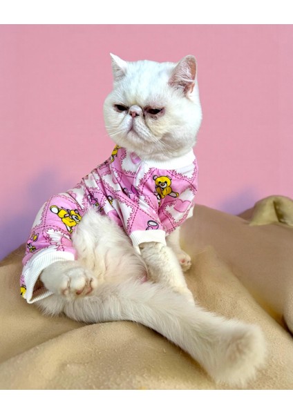 Teddy Toad Penye Kedi Tulum Pijama fiyatları