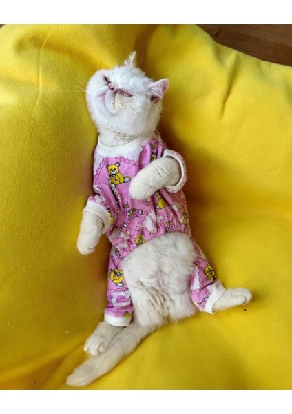 Teddy Toad Penye Kedi Tulum Pijama indirimleri