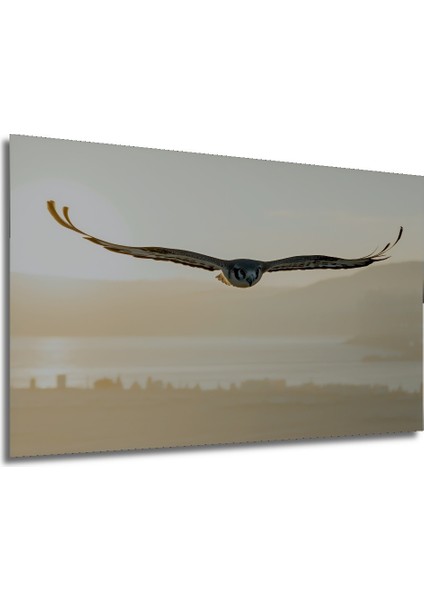 Gün Batımında Şahin Uçuşu Yağlı Boya Görünümlü Dekoratif Ahşap Ev/işyeri/ofis Kare Tablo modelleri