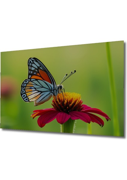 Çiçek Bahçesinde Dans Eden Kelebek Dekoratif Ahşap Ev/işyeri/ofis Kare Tablo fiyatları