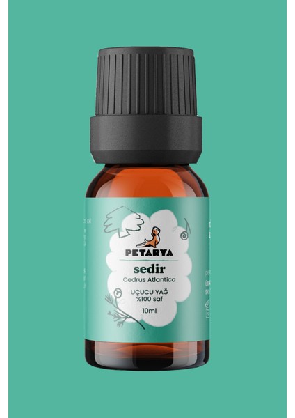 %100 Saf Uçucu Sedir Yağı Cedrus Atlantica - 10ML