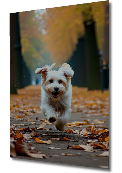 Sonbahar Neşesi Köpek Yağlı Boya Görünümlü Ev/işyeri/ofis Dekoratif Ahşap Kare Tablo fiyatları