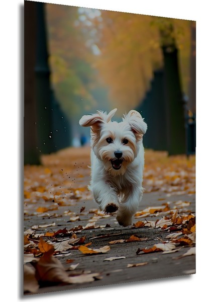 Sonbahar Neşesi Köpek Yağlı Boya Görünümlü Ev/işyeri/ofis Dekoratif Ahşap Kare Tablo modelleri