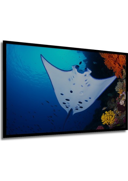 Çerçeve Görünümlü Manta Vatozu Mercan Resifi Sulu Boya Görünümlü Dekoratif Ahşap Ofis Kare Tablo modelleri