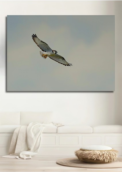 Gökyüzünde Süzülen Şahin Yağlı Boya Görünümlü Dekoratif Ahşap Ev/işyeri/ofis Kare Tablo