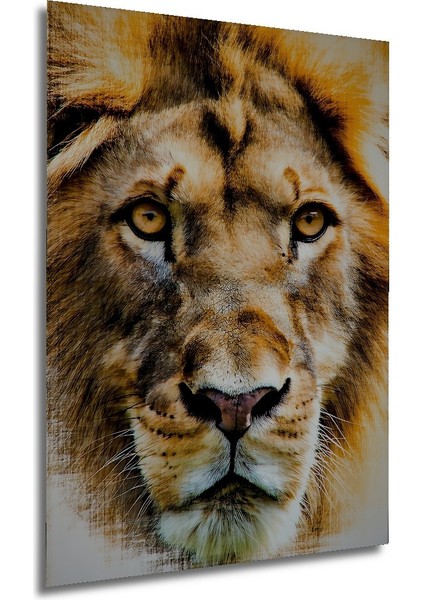 Yağlı Boya Görünümlü Aslan Portre Sanatı Ev/işyeri/ofis/salon Ahşap Dekoratif Kare Tablo modelleri