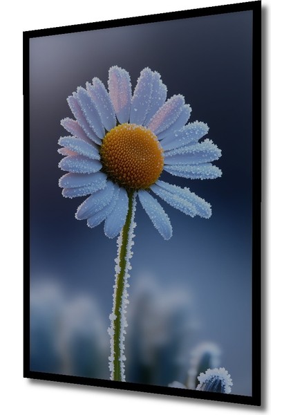 Çerçeve Görünümlü Buzlu Papatya Rüyası Yağlı Boya Görünümlü Dekoratif Ahşap Işyeri/ofis Kare Tablo fiyatları