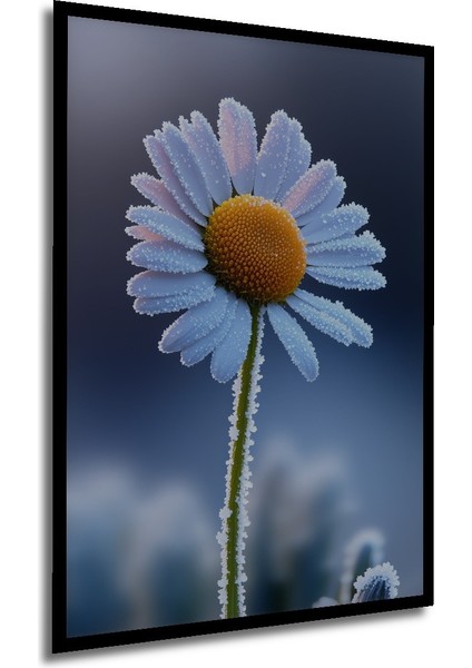 Çerçeve Görünümlü Buzlu Papatya Rüyası Yağlı Boya Görünümlü Dekoratif Ahşap Işyeri/ofis Kare Tablo modelleri