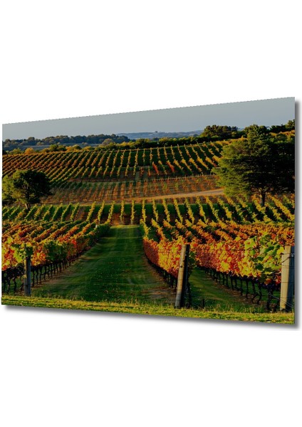 Sonbahar Renkleri ile Üzüm Bağları Yağlı Boya Görünümlü Dekoratif Ahşap Ev/işyeri/ofis Kare Tablo fiyatları