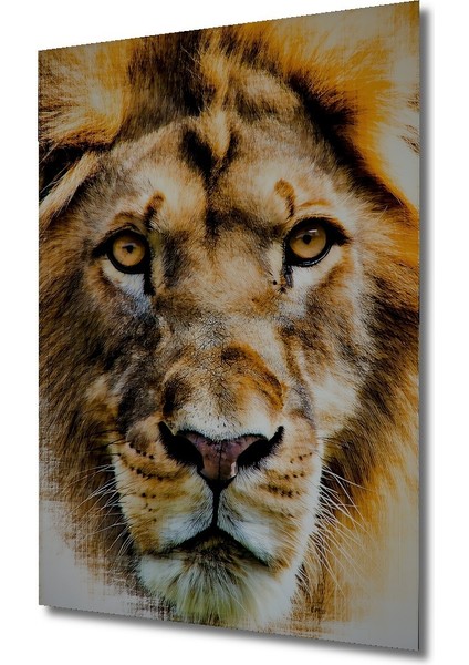 Yağlı Boya Görünümlü Aslan Portre Sanatı Ev/işyeri/ofis/salon Ahşap Dekoratif Kare Tablo fiyatları