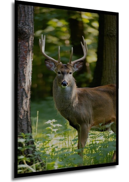 Çerçeve Görünümlü Orman Esintili Geyik Yağlı Boya Görünümlü Dekoratif Ahşap Işyeri/ofis Kare Tablo modelleri