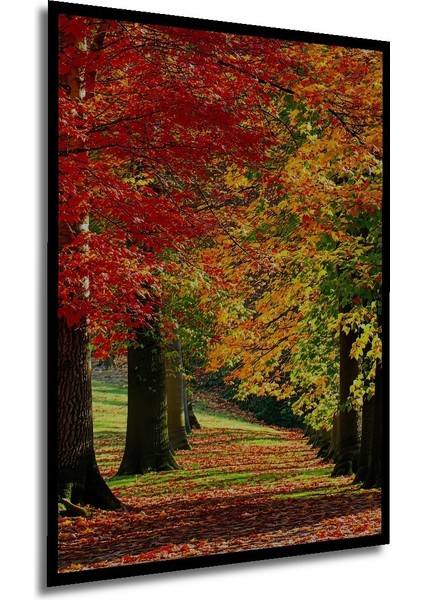 Çerçeve Görünümlü Sonbahar Renkleri Yağlı Boya Görünümlü Dekoratif Ahşap Ev/işyeri/ofis Kare Tablo modelleri