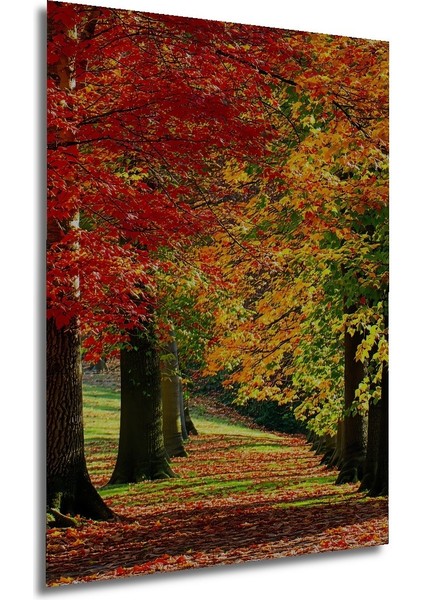 Sonbahar Renkleri Yağlı Boya Görünümlü Dekoratif Ahşap Ev/işyeri/ofis Kare Tablo modelleri