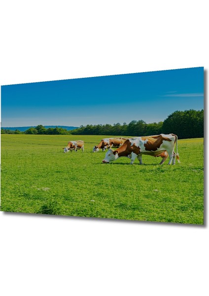 Yeşil Otlakta Inekler Yağlı Boya Görünümlü Dekoratif Ahşap Ev/işyeri/ofis Kare Tablo fiyatları