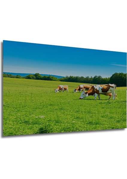 Yeşil Otlakta Inekler Yağlı Boya Görünümlü Dekoratif Ahşap Ev/işyeri/ofis Kare Tablo modelleri