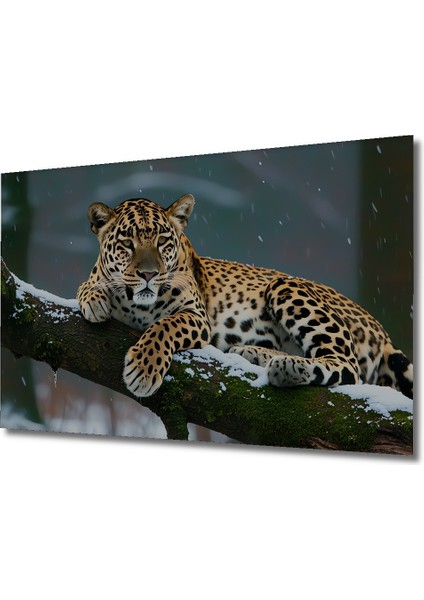 Kar Leoparı Karda Yağlı Boya Görünümlü Dekoratif Ahşap Ev/işyeri/ofis Kare Tablo fiyatları