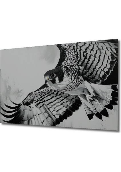 Siyah Beyaz Şahin Yağlı Boya Görünümlü Dekoratif Ahşap Ev/işyeri/ofis Kare Tablo fiyatları