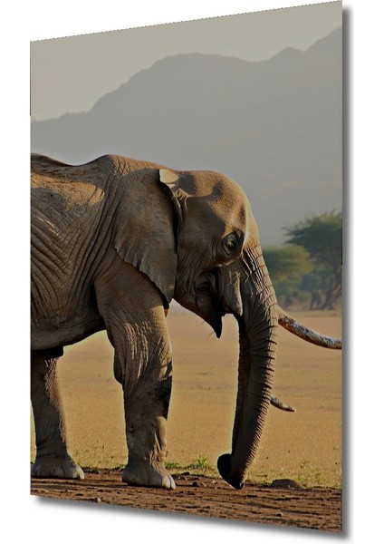 Sulu Boya Görünümlü Savan Fil Heybeti Ev/işyeri/ofis/salon Ahşap Dekoratif Kare Tablo fiyatları