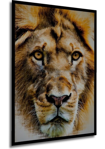 Çerçeve Görünümlü Yağlı Boya Görünümlü Aslan Portre Sanatı Ofis/salon Ahşap Dekoratif Kare Tablo modelleri