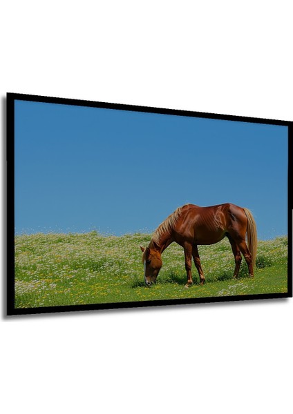 Çerçeve Görünümlü Çiçek Bahçesinde Otlayan At Yağlı Boya Görünümlü Dekoratif Ahşap Ofis Kare Tablo modelleri