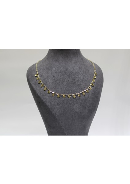 14 Ayar Gerçek Altın Pullu Kolye