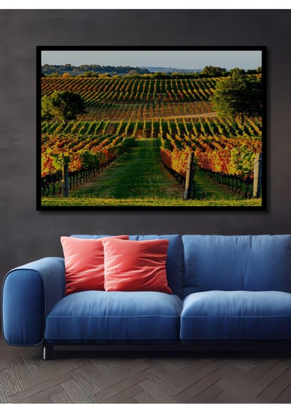 Çerçeve Görünümlü Sonbahar Renkleri ile Üzüm Bağları Yağlı Boya Görünümlü Ahşap Ofis Kare Tablo
